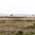 TZA SHI SerengetiNP 2016DEC25 LakeMagadi 021 : 2016, 2016 - African Adventures, Africa, Date, December, Eastern, Month, Northern Lake Magadi, Places, Serengeti National Park, Shinyanga, Tanzania, Trips, Year