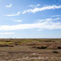 TZA SHI SerengetiNP 2016DEC25 LakeMagadi 022 : 2016, 2016 - African Adventures, Africa, Date, December, Eastern, Month, Northern Lake Magadi, Places, Serengeti National Park, Shinyanga, Tanzania, Trips, Year