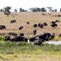 TZA SHI SerengetiNP 2016DEC25 LakeMagadi 029 : 2016, 2016 - African Adventures, Africa, Date, December, Eastern, Month, Northern Lake Magadi, Places, Serengeti National Park, Shinyanga, Tanzania, Trips, Year