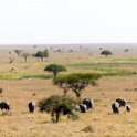 TZA SHI SerengetiNP 2016DEC25 LakeMagadi 033 : 2016, 2016 - African Adventures, Africa, Date, December, Eastern, Month, Northern Lake Magadi, Places, Serengeti National Park, Shinyanga, Tanzania, Trips, Year