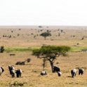 TZA SHI SerengetiNP 2016DEC25 LakeMagadi 035 : 2016, 2016 - African Adventures, Africa, Date, December, Eastern, Month, Northern Lake Magadi, Places, Serengeti National Park, Shinyanga, Tanzania, Trips, Year