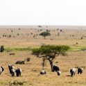 TZA_SHI_SerengetiNP_2016DEC25_LakeMagadi_035.jpg