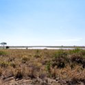 TZA SHI SerengetiNP 2016DEC25 RoadB144 001 : 2016, 2016 - African Adventures, Africa, Date, December, Eastern, Month, Places, Road B144, Serengeti National Park, Shinyanga, Tanzania, Trips, Year