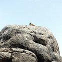 TZA SHI SerengetiNP 2016DEC25 RoadB144 007 : 2016, 2016 - African Adventures, Africa, Date, December, Eastern, Month, Places, Road B144, Serengeti National Park, Shinyanga, Tanzania, Trips, Year