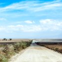 TZA SHI SerengetiNP 2016DEC25 RoadB144 016 : 2016, 2016 - African Adventures, Africa, Date, December, Eastern, Month, Places, Road B144, Serengeti National Park, Shinyanga, Tanzania, Trips, Year