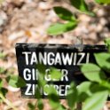 TZA ZAN ZMM Badru 2016DEC20 SpiceFarm 004 : 2016, 2016 - African Adventures, Africa, Badru Spice Farm, Date, December, Eastern, Mjini Magharibi, Month, Places, Tanzania, Trips, Year, Zanzibar