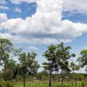 ZMB EAS Kamolisya 2016DEC09 D104 009 : 2016, 2016 - African Adventures, Africa, D104, Date, December, Eastern, Kamolisya, Month, Places, Trips, Year, Zambia