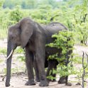 ZMB_EAS_SouthLuangwa_2016DEC09_KapaniLodge_004.jpg