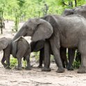 ZMB_EAS_SouthLuangwa_2016DEC09_KapaniLodge_013.jpg