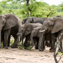 South Luangwa