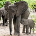 ZMB_EAS_SouthLuangwa_2016DEC09_KapaniLodge_019.jpg