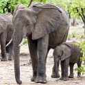 ZMB_EAS_SouthLuangwa_2016DEC09_KapaniLodge_020.jpg