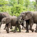ZMB EAS SouthLuangwa 2016DEC09 KapaniLodge 025 : 2016, 2016 - African Adventures, Africa, Date, December, Eastern, Kapani Lodge, Mfuwe, Month, Places, South Luanga, Trips, Year, Zambia