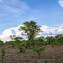 ZMB EAS SouthLuangwa 2016DEC10 KapaniLodge 001 : 2016, 2016 - African Adventures, Africa, Date, December, Eastern, Kapani Lodge, Mfuwe, Month, Places, South Luangwa, Trips, Year, Zambia