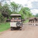 ZMB_EAS_SouthLuangwa_2016DEC10_KapaniLodge_004.jpg