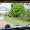 ZMB_EAS_SouthLuangwa_2016DEC10_KapaniLodge_005.jpg