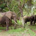 ZMB_EAS_SouthLuangwa_2016DEC10_KapaniLodge_008.jpg