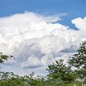 ZMB EAS SouthLuangwa 2016DEC10 KapaniLodge 019 : 2016, 2016 - African Adventures, Africa, Date, December, Eastern, Kapani Lodge, Mfuwe, Month, Places, South Luangwa, Trips, Year, Zambia