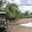 ZMB_EAS_SouthLuangwa_2016DEC10_KapaniLodge_021.jpg