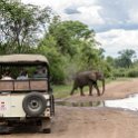 ZMB_EAS_SouthLuangwa_2016DEC10_KapaniLodge_022.jpg