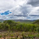ZMB LUS Talabuku 2016DEC08 T1 007 : 2016, 2016 - African Adventures, Africa, Date, December, Eastern, Lusaka, Month, Places, T1, Talabuku, Trips, Year, Zambia
