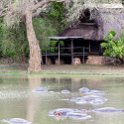 ZMB_NOR_SouthLuangwa_2016DEC10_NP_011.jpg