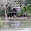 ZMB_NOR_SouthLuangwa_2016DEC10_NP_013.jpg