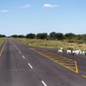 BWA GHA Tshootsha 2016NOV29 002 : 2016, 2016 - African Adventures, Africa, Botswana, Date, Ghanzi, Month, November, Places, Southern, Trips, Tshootsha, Year