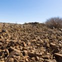 NAM ERO D3716 2016NOV24 010 : 2016, 2016 - African Adventures, Africa, D3716, Date, Erongo, Month, Namibia, November, Places, Southern, Trips, Year