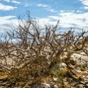 NAM ERO KuisebPass 2016NOV22 014 : 2016, 2016 - African Adventures, Africa, Date, Erongo, Kuiseb Pass, Month, Namibia, November, Places, Southern, Trips, Year