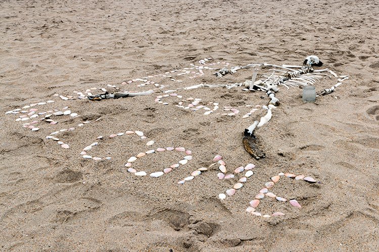 NAM ERO SkeletonCoast 2016NOV24 Zeila 003