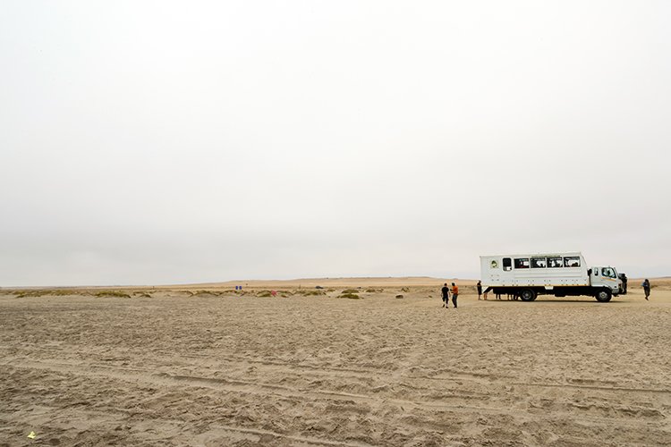 NAM ERO SkeletonCoast 2016NOV24 Zeila 011