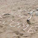 NAM ERO SkeletonCoast 2016NOV24 Zeila 003  Suprisingly enough, as much as the locals want you to visit the Skeleton Coast, this was pretty much the only indicator you were there. : 2016, 2016 - African Adventures, Africa, Date, Erongo, Month, Namibia, November, Places, Skeleton Coast, Southern, Trips, Year, Zeila Shipwreck