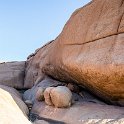 NAM_ERO_Spitzkoppe_2016NOV24_CampHill_041.jpg