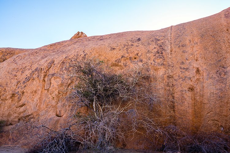 NAM ERO Spitzkoppe 2016NOV24 SBP 009