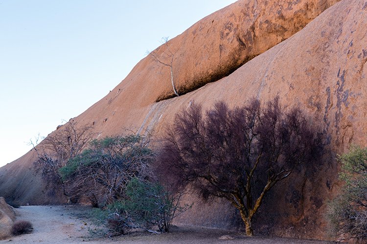 NAM ERO Spitzkoppe 2016NOV24 SBP 024