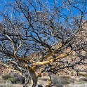 NAM ERO Spitzkoppe 2016NOV24 SBP 005 : 2016, 2016 - African Adventures, Africa, Date, Erongo, Month, Namibia, November, Places, Small Bushmans Paradise, Southern, Spitzkoppe, Trips, Year