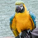 NAM ERO Swakopmund 2016NOV22 DEAC 002 : 2016, 2016 - African Adventures, Africa, Date, Desert Explorers Adventure Centre, Erongo, Month, Namibia, November, Places, Southern, Swakopmund, Trips, Year
