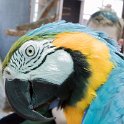 NAM ERO Swakopmund 2016NOV22 DEAC 003 : 2016, 2016 - African Adventures, Africa, Date, Desert Explorers Adventure Centre, Erongo, Month, Namibia, November, Places, Southern, Swakopmund, Trips, Year