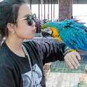 NAM ERO Swakopmund 2016NOV22 DEAC 008 : 2016, 2016 - African Adventures, Africa, Date, Desert Explorers Adventure Centre, Erongo, Month, Namibia, November, Places, Southern, Swakopmund, Trips, Year