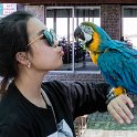 NAM ERO Swakopmund 2016NOV22 DEAC 009 : 2016, 2016 - African Adventures, Africa, Date, Desert Explorers Adventure Centre, Erongo, Month, Namibia, November, Places, Southern, Swakopmund, Trips, Year