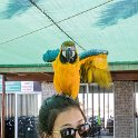 NAM ERO Swakopmund 2016NOV22 DEAC 010 : 2016, 2016 - African Adventures, Africa, Date, Desert Explorers Adventure Centre, Erongo, Month, Namibia, November, Places, Southern, Swakopmund, Trips, Year