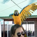 NAM ERO Swakopmund 2016NOV22 DEAC 011 : 2016, 2016 - African Adventures, Africa, Date, Desert Explorers Adventure Centre, Erongo, Month, Namibia, November, Places, Southern, Swakopmund, Trips, Year