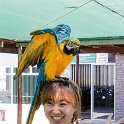 NAM ERO Swakopmund 2016NOV22 DEAC 012 : 2016, 2016 - African Adventures, Africa, Date, Desert Explorers Adventure Centre, Erongo, Month, Namibia, November, Places, Southern, Swakopmund, Trips, Year