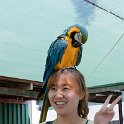 NAM ERO Swakopmund 2016NOV22 DEAC 013 : 2016, 2016 - African Adventures, Africa, Date, Desert Explorers Adventure Centre, Erongo, Month, Namibia, November, Places, Southern, Swakopmund, Trips, Year