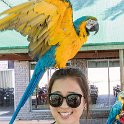 NAM ERO Swakopmund 2016NOV22 DEAC 016 : 2016, 2016 - African Adventures, Africa, Date, Desert Explorers Adventure Centre, Erongo, Month, Namibia, November, Places, Southern, Swakopmund, Trips, Year