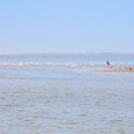 NAM_ERO_WalvisBay_2016NOV22_LagoonPromenade_003.jpg