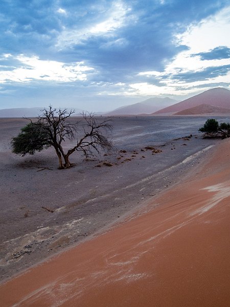NAM HAR Dune45 2016NOV21 006