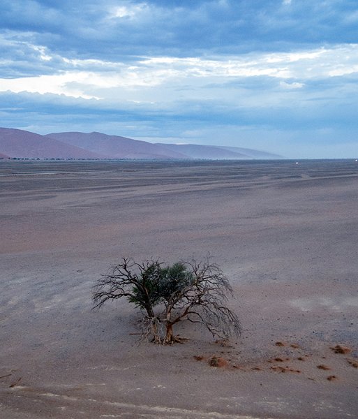 NAM HAR Dune45 2016NOV21 011