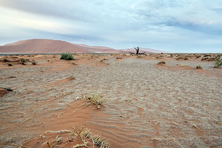 NAM HAR Dune45 2016NOV21 021